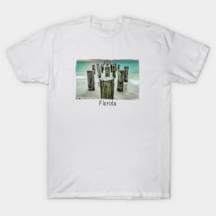 Naples Florida T-Shirt